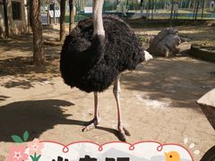 -武汉紫薇都市田园