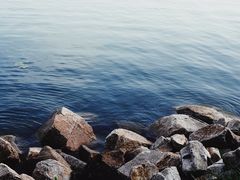 -丁香湖公园