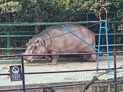 -南昌动物园