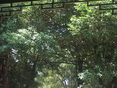 -盘龙寺