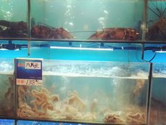 水产区-南海渔家•海鲜•正宗海南菜(海棠湾店)