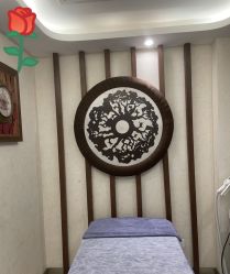 -健身堂科技美肌SPA