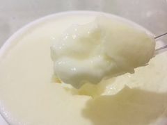 -老周记顺德双皮奶