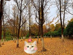 -白塘生态植物园
