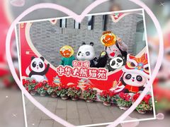 -都江堰中华大熊猫苑