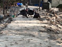 -不觉晓CAMPING(上海迪士尼营地店)