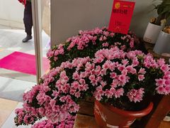 -上海鲜花港