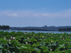 -西湖游船