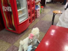 -蒋炸酱(内东街店)