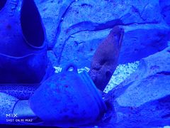 -波塞冬旅游度假区