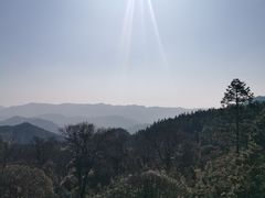 -永州阳明山国家森林公园