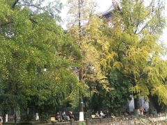 -四川大学(华西校区)