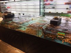 水产区-海蓝海鲜馆(五四北店)