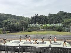 -深圳野生动物园