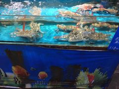 -学府海鲜批发市场