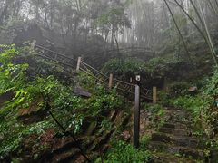 -莫干山风景区
