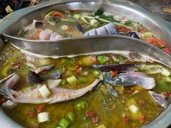 -鲜椒鱼·雅安地标性美食