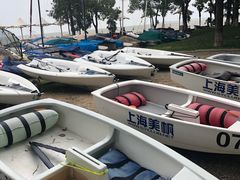 -上海美帆帆船露营基地