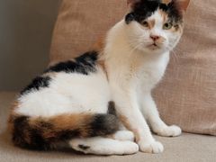 -转山咖啡(松柏社区店)