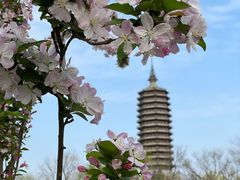 -西海子公园