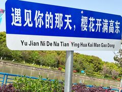 -高东镇樱花园