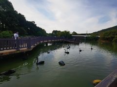 -无锡动物园·太湖欢乐园