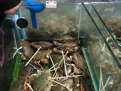 肉蟹-盒马鲜生(曜一城店)