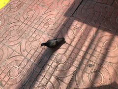 -唐人街(耀华力路)