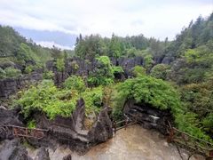 -梭布垭石林景区