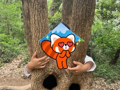 -上海佘山国家森林公园天马山园