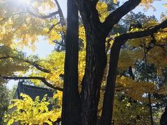 -红螺寺