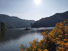 -广州市石门国家森林公园