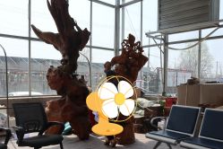 -蓝呗呗蓝莓草莓采摘园(通州区马驹桥店)