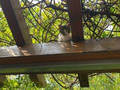 -徐家汇源景区-衡山公园