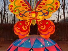 -南宫五洲植物乐园