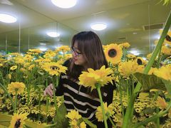 -天津梵高星空艺术馆(天河城旗舰店)
