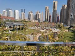 -长白岛森林公园