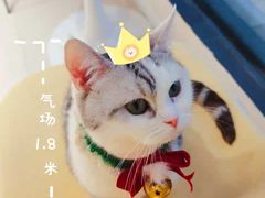-怪兽屋·羊驼·猫咖·狗咖(俊华广场店)