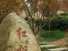 -广州市帽峰山景区
