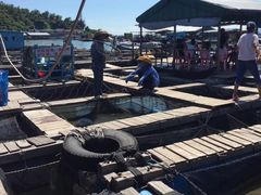 -海上驿站渔家菜馆