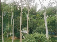-广悦华阳朔河畔度假酒店(十里画廊遇龙河店)