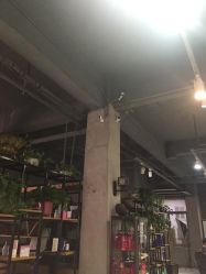 点击看大图 -蚂蚁造型沙龙