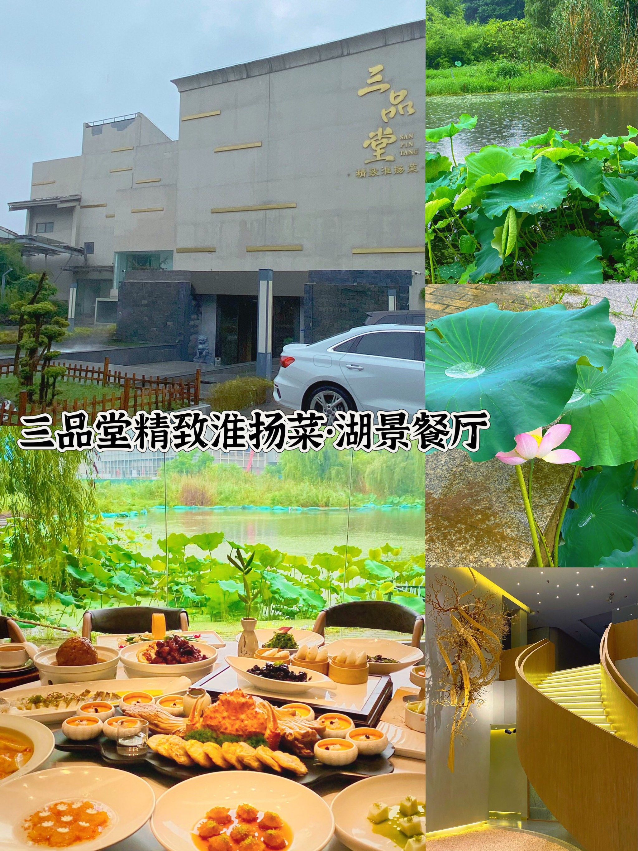 好朋友们相约小聚
特地选了这家能看到碧荷连连的中餐厅
荷花池畔