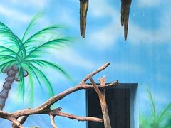 -杭州野生动物世界