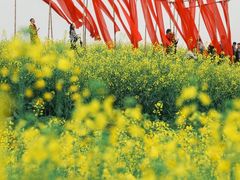 -光明小镇欢乐田园