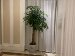 -洛阳宴·洛阳菜(南昌路店)
