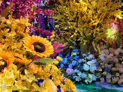 -正佳雨林生态植物园