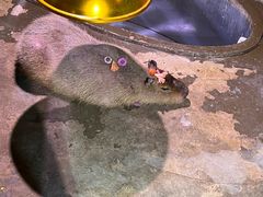 -正佳雨林生态植物园