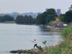 -番禺广场(市桥街道)