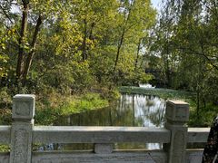 -溱湖国家湿地公园